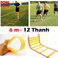 Thang dây thể thao tập luyện thể lực bóng đá 6m 12 thanh, nâng cao sức khỏe, thể lực và tầm vóc – DONGDONG