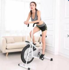 B&G Xe đạp tập thể dục Air bike white