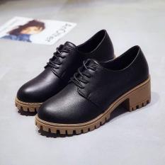 Bốt nữ dây buộc đế vuông Bi Shop (Đen & Nâu)