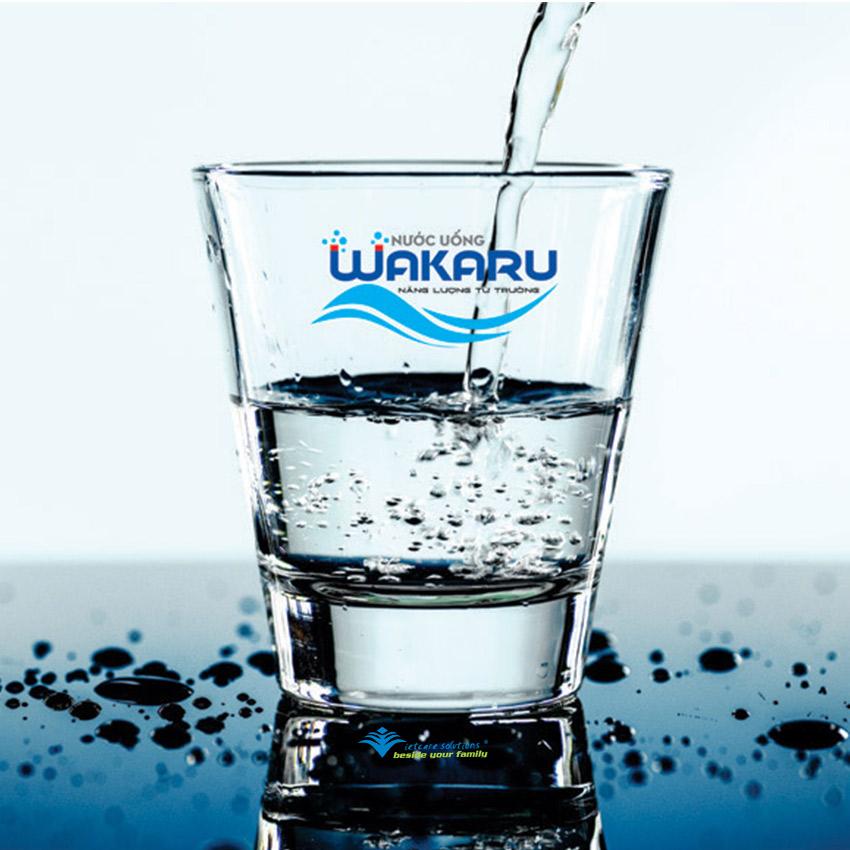Wakaru - Nước uống năng lượng từ trường 500ml