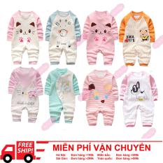 Combo 3 bộ body cotton liền thân, body dài tay bé gái (body thu đông cho bé gái) Hàng Quảng Châu xuất Hàn
