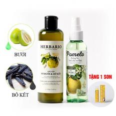 Liệu trình trị rụng tóc phục hồi tóc hư tổn 1 dầu gội HERBARIO và 1 dưỡng tóc POMELO tặng 1 son dưỡng COCOON