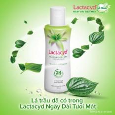 Dung dịch vệ sinh LACTACYD lá trầu không