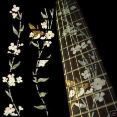 Dán khảm cần đàn guitar hình chim ruồi hái hoa