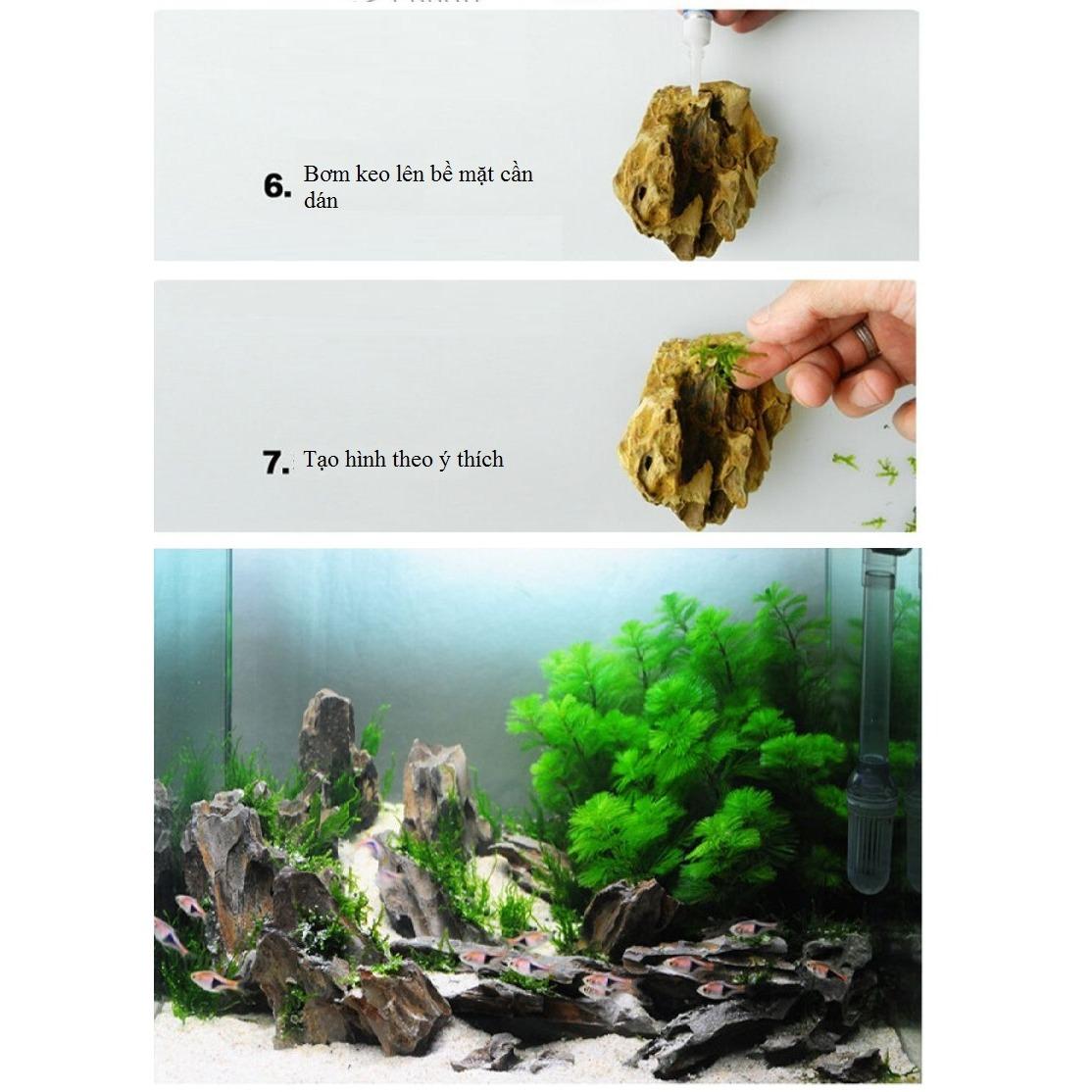 Keo dán rêu thủy sinh (01 Tuýp)
