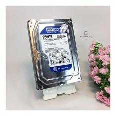 Ổ cứng WD 250gb / 320gb / 500gb / 1TB,HDD Western ( Blue ) dùng cho Máy tính để bàn, ổ cứng camera . Bảo hành 2 năm.