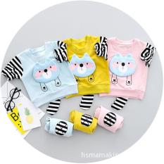 Bộ thun cotton da cá dài tay thu đông in hình cáo có đuổi( Xanh- Vàng- Hồng) cho bé trai/ bé gái từ 8kg đến 20kg