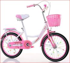 xe đạp trẻ em loại 20 inch