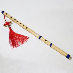 Sáo trúc HL8 âm chuẩn tone đô c5 hàng đẹp