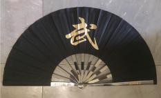 Thiết phiến tập võ – quạt sắt kungfu (màu đen)