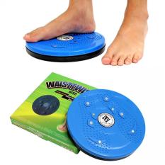Đĩa xoay eo giảm cân 360 độ cho vòng eo con kiến