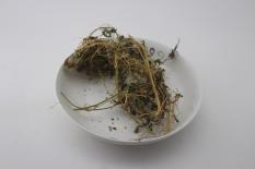 Dây Khổ Hoa Rừng 500g