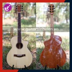 Guitar Gỗ thịt nguyên tấm Mahogany Cao cấp