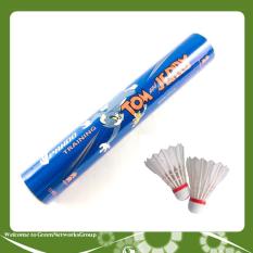 Ống cầu lông Pando 12 quả GreenNetworks