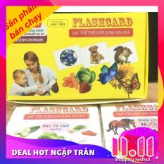 Bộ thẻ học thông minh Flash Card cỡ to 14 chủ đề (280 thẻ) cho bé theo phương pháp giáo dục sớm Glenn Doman