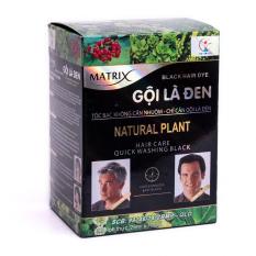 Hộp 10 gói gội đen Matrix
