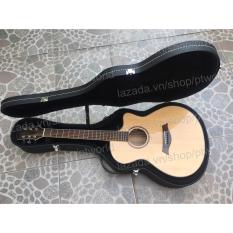 Bảng Báo Giá Đàn Guitar Acoustic cao cấp Điệp già + Bao da 3 lớp + Phím gảy Alice