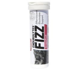 Viên sủi điện giải – Hammer Nutrition Endurolytes Fizz Vị Bưởi HM199