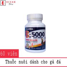 Thuốc nuôi bổ sung vitamin cho gà đá – Vítamina B12 5000
