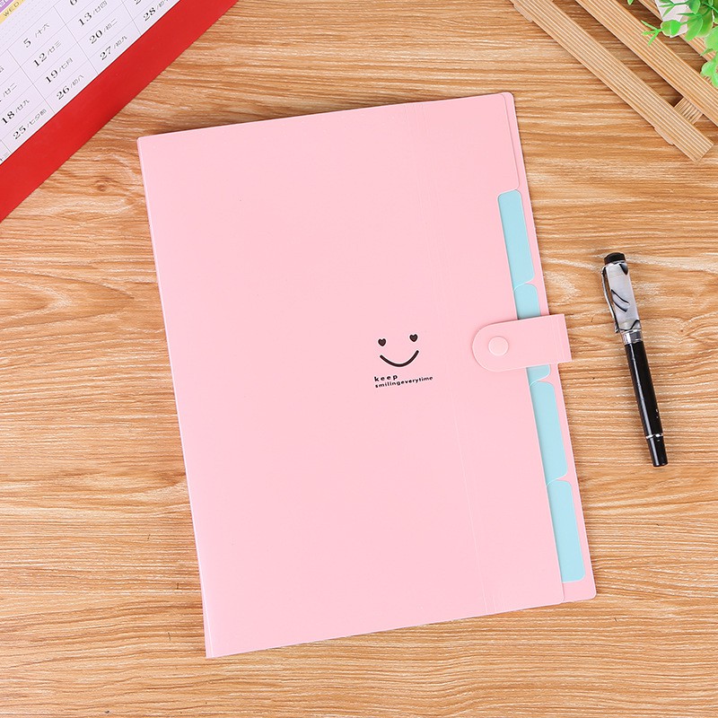 File đựng tài liệu A4 5 ngăn Pison
