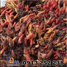 Ngọc Cẩu Tươi Sơn La 3kg