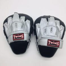 Dụng cụ dích đấm TWINS PUNCHING MITT