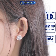 Bông tai bạc nữ Hoa Bách Nhật chất liệu bạc 925 thời trang phụ kiện trang sức nữ Viễn Chí Bảo B400478x