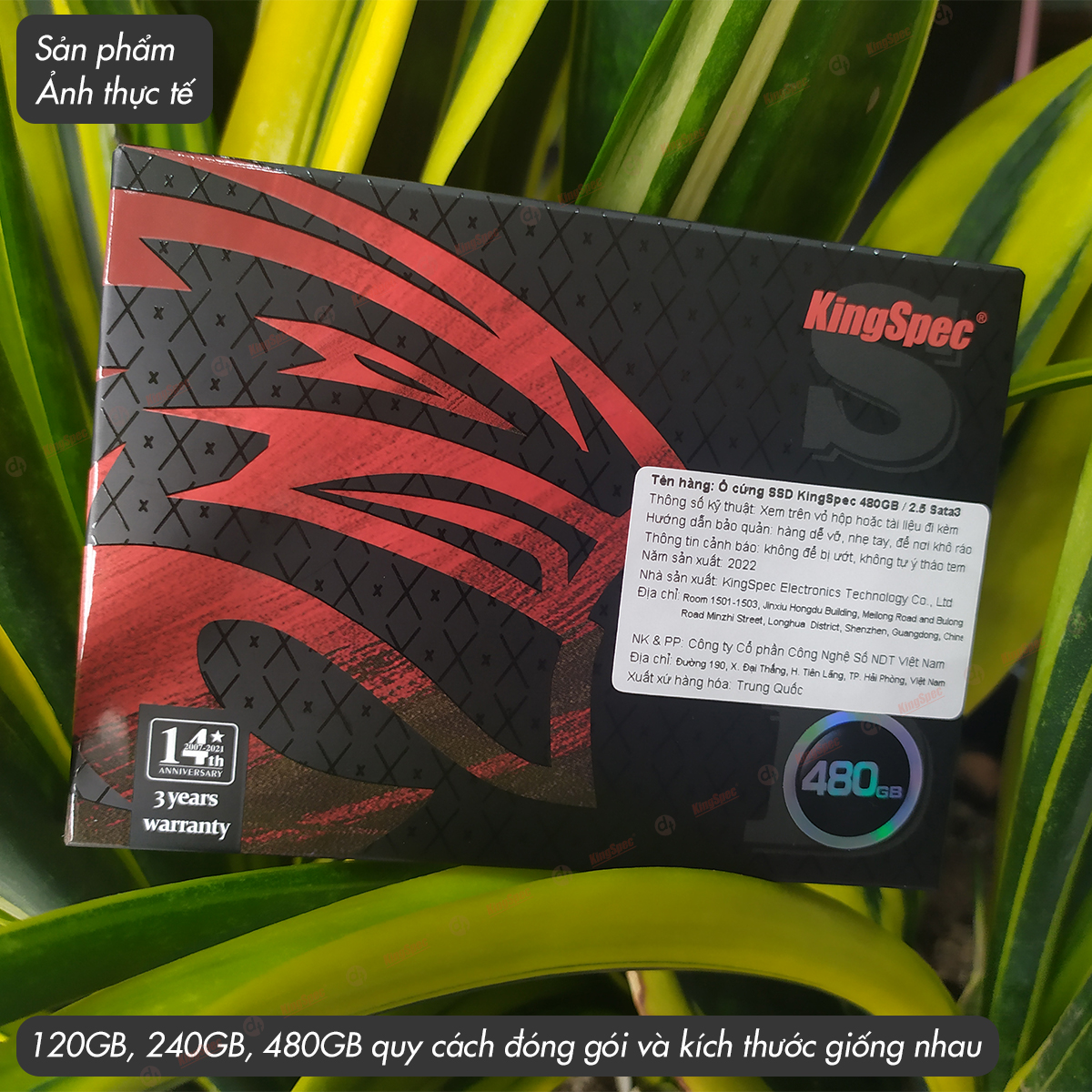 Ổ cứng SSD KingSpec 120GB / 240GB / 480GB SATA 2.5 | P4 - Hàng Chính Hãng