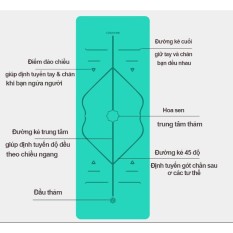 Thảm YOGA ĐỊNH TUYẾN TPE 2 lớp tặng túi và dây buộc