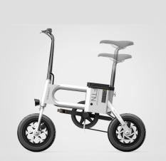 Xe điện Homesheel T2 crosswheel mẫu mới