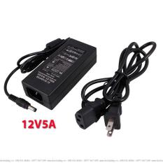 adapter 12V5A