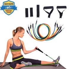 Dây Cao Su Tập Gym,Bộ 5 Dây Đàn Hồi Tập Thể Hình,Dây Đàn Hồi Tập Gym S1-D, Bộ Dây Tập Thể Lực 5 Màu – Bộ 11 Chi Tiết, Dây Tập Kháng Lực 100Lb ,Bảo Hành 1 Đổi 1 Trên Toàn Quốc