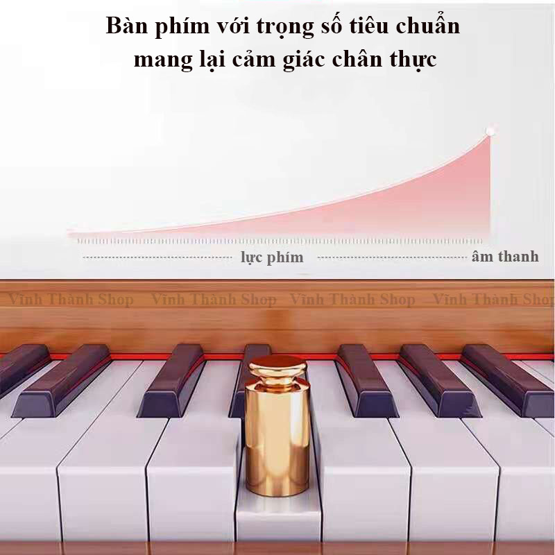 [ Ảnh Thật ] Đàn Piano Điện Tử - Đàn 88 Phím Bằng Gỗ Có Pedal Và Phụ Kiện Dễ...