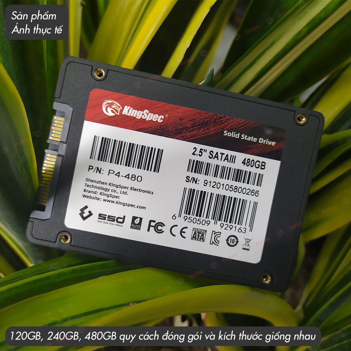 Ổ cứng SSD KingSpec 120GB / 240GB / 480GB SATA 2.5 | P4 - Hàng Chính Hãng