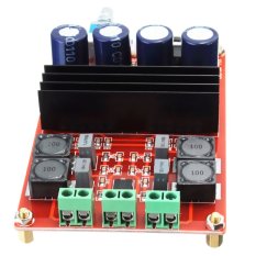 2*100W 12V-24V Dual 2 Channel Digital Audio Amplifier Board TPA3116 for Arduino – intl