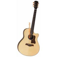 Cửa hàng bán Acoustic guitar Taylor VN D400 (sơn Pu mờ)  