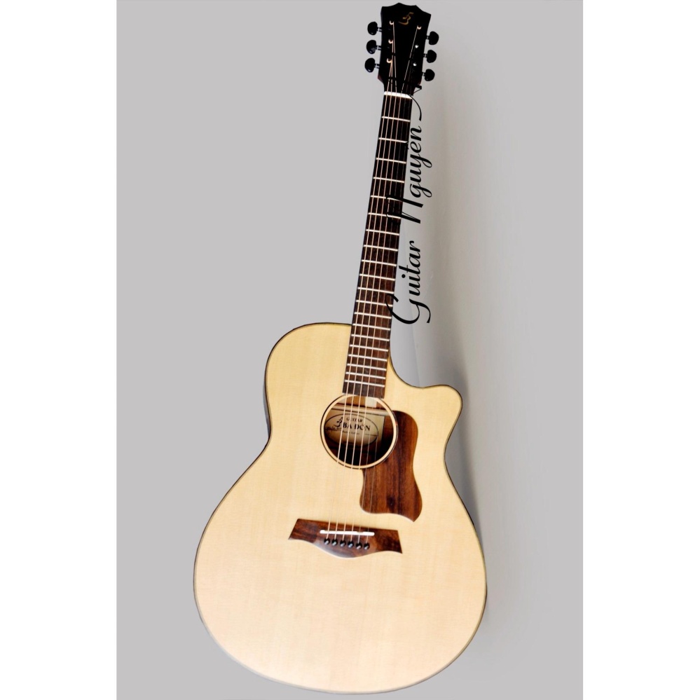 Đàn Guitar Acoustic Taylor N350A