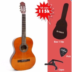 Đàn Guitar Classic RG3920 cho người mới tập chơi