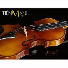 Đàn Violin Omebo Size 4/4 RV-205 (Gỗ Nguyên Tấm Vân Sam RV205 – Vĩ Cầm 4-4 – Cả bộ Đàn Vi-ô-lông, Hộp, Vĩ và Rosin Nhựa Thông)