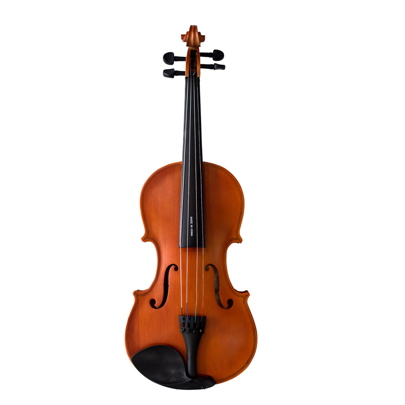Đàn Violin Vines