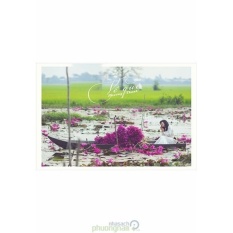 Giá bán Về Quê – Phương Thanh (CD-DVD)  