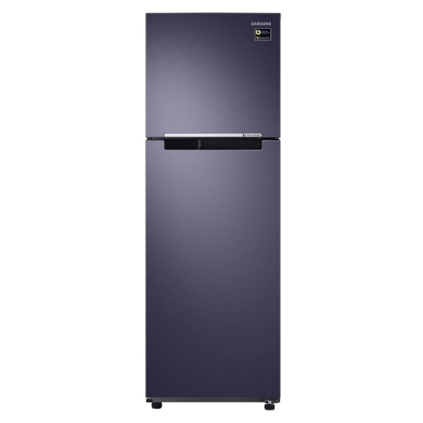 Tủ lạnh 2 cửa Samsung RT25M4033UT/SV 256L (Xanh xám)
