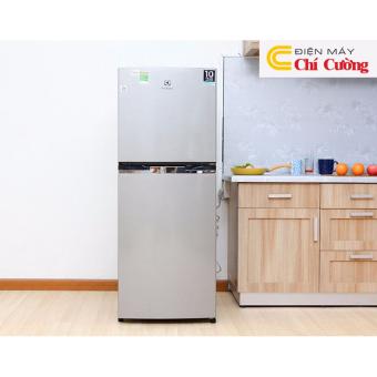 Tủ lạnh Electrolux ETB2100MG  