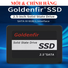 Ổ Cứng SSD Read 580MB/s Write 550MB/s Goldenfir 120GB 128GB 240GB 256GB 480GB 500GB 512GB 360GB 720GB 1TB