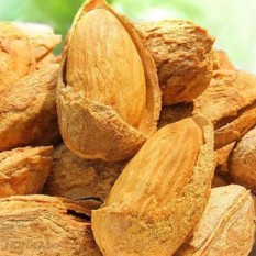 Bảng Báo Giá Hạt hạnh nhân Mỹ còn võ mỏng rang bơ 500g