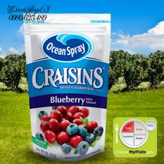 Báo Giá Quả Nam việt quất và nước ép Blueberry sấy khô nhập khẩu Mỹ 142g Decoshop68 Dried cranberries Blueberry juice infused  