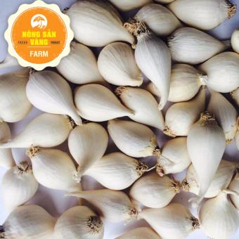 Tỏi Cô đơn Lý Sơn 1kg June 2018 - 2 Tỏi cô đơn lý sơn 1kg - 2