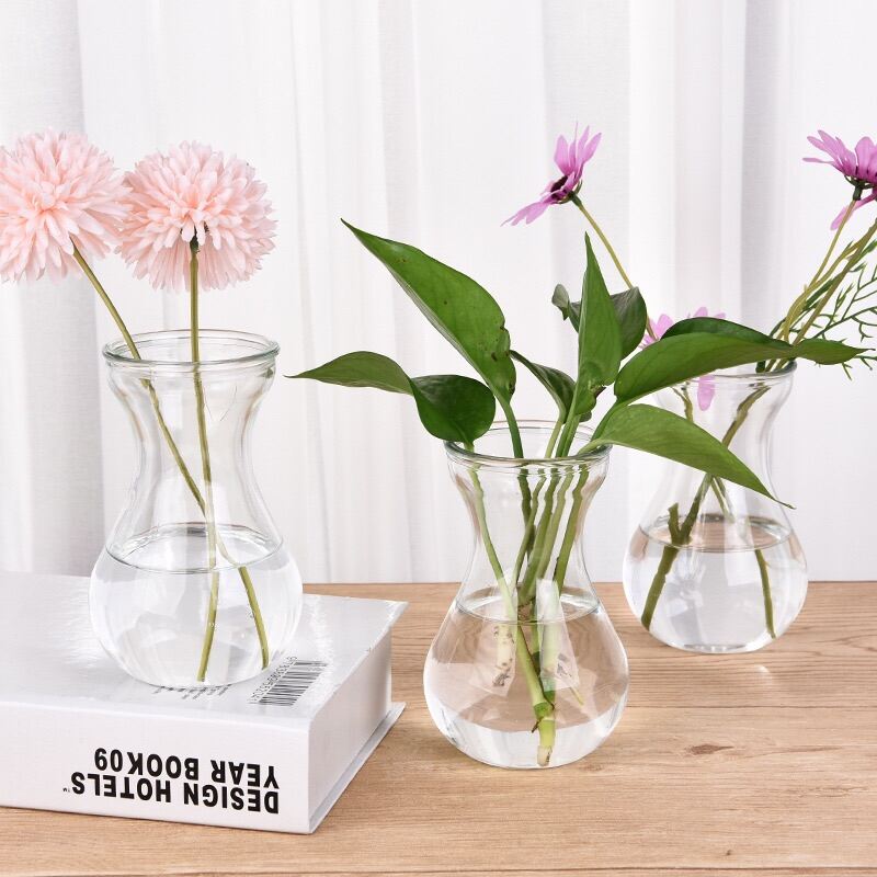 Lọ thuỷ tinh cắm hoa, trồng củ tiên ông, decor tiện lợi