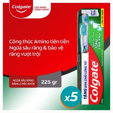 Bộ 5 kem đánh răng Colgate ngừa sâu răng răng chắc khỏe 250g/tuýp tặng bàn chải đánh răng lông tơ nhập khẩu Thái Lan