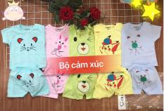 sét 5 bộ cộc tay cài cúc vai heo tài lộc cho bé trai / bé gái